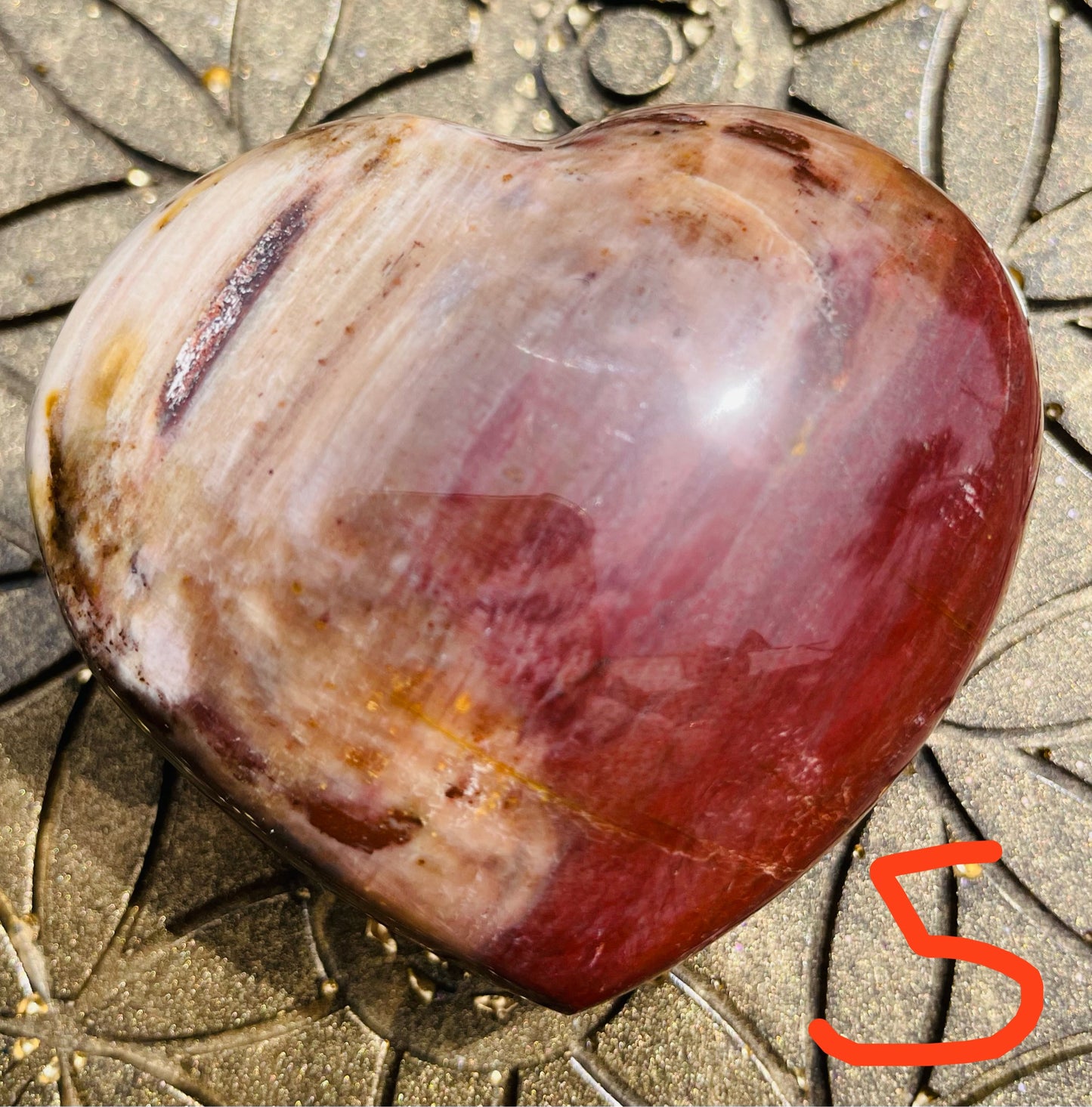 Versteinertes Holz Herzen