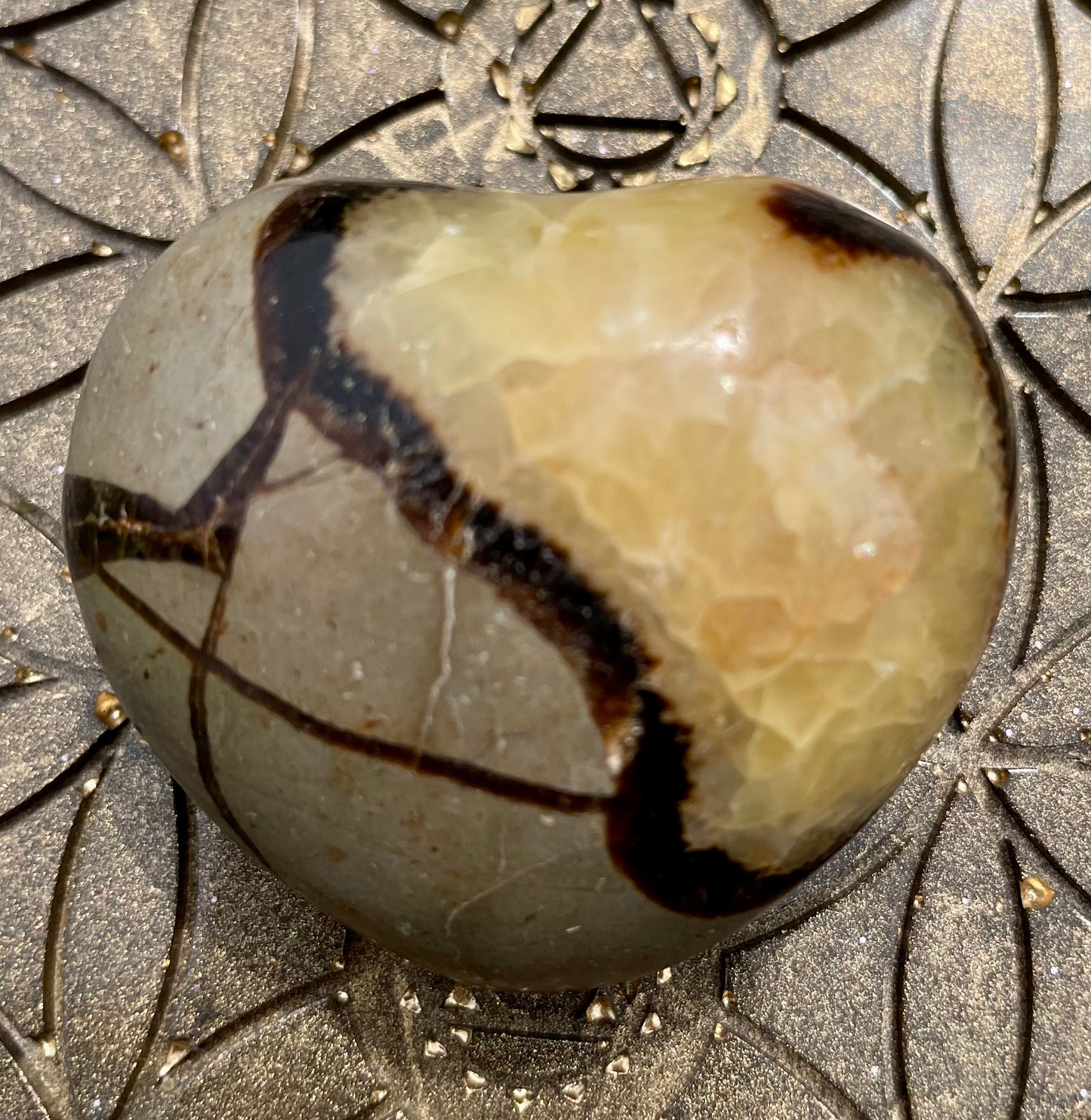 Drachenauge/Septarie Herz