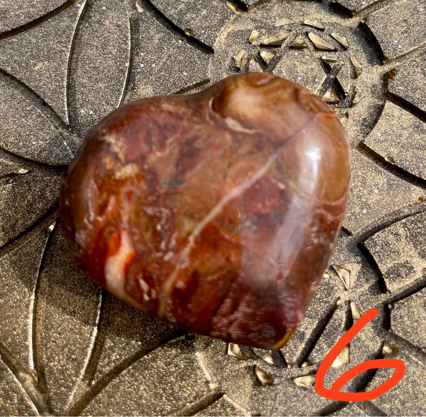 Versteinertes Holz Herzen