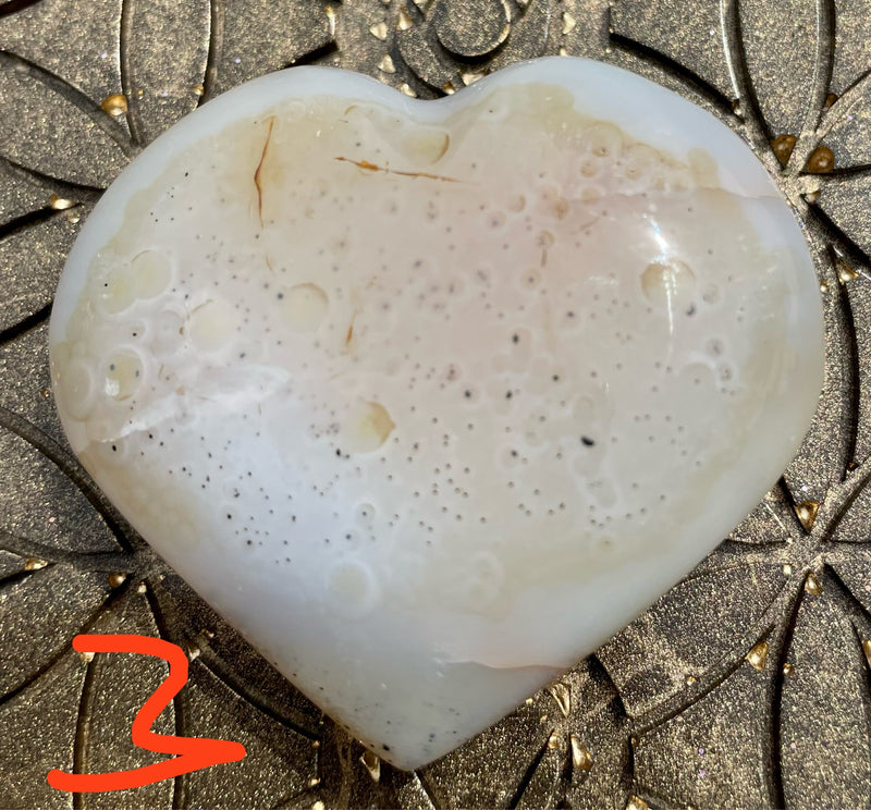 Chalcedon Herzen