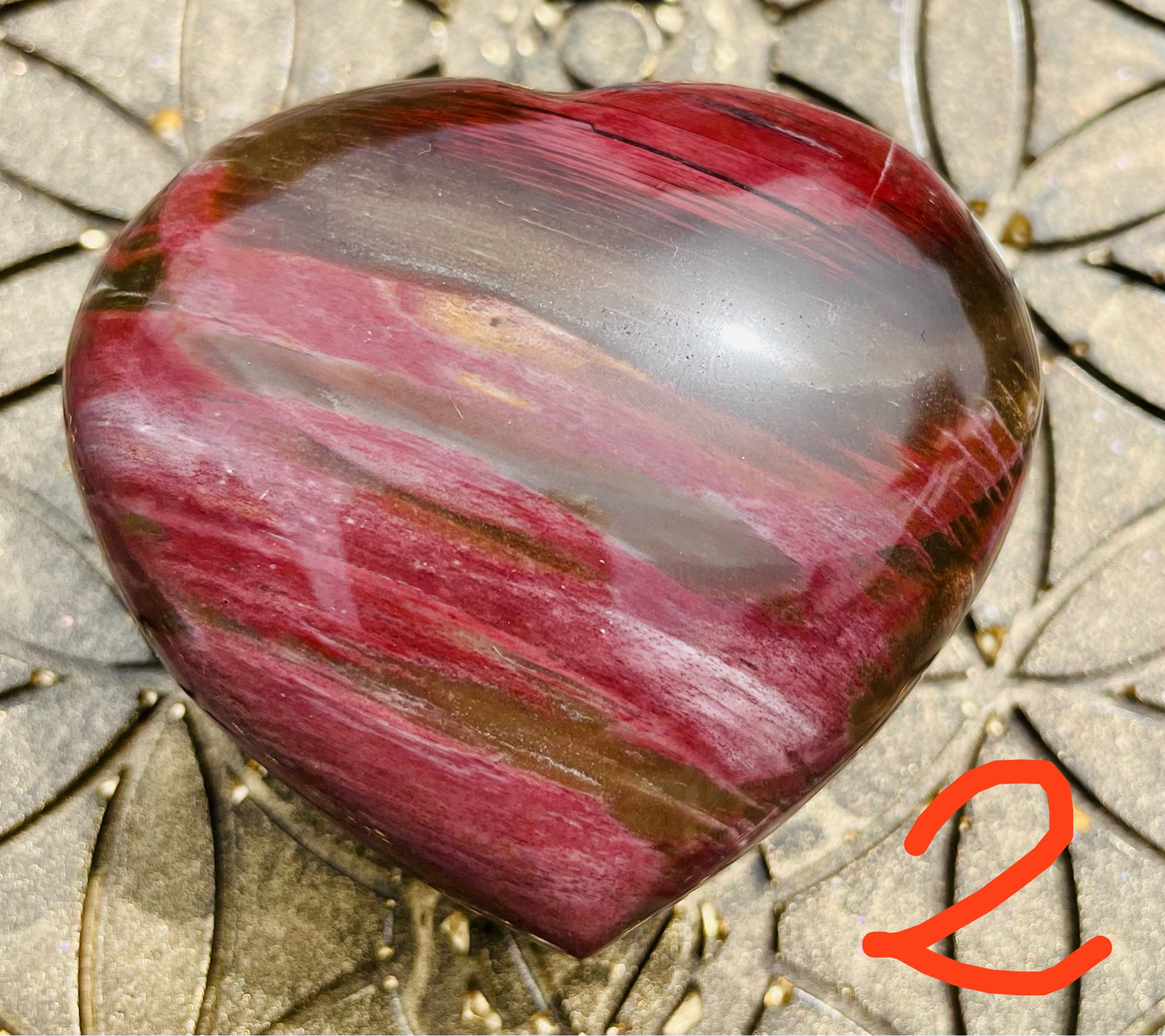 Versteinertes Holz Herzen