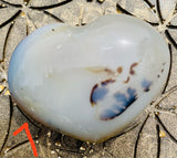 Chalcedon Herzen