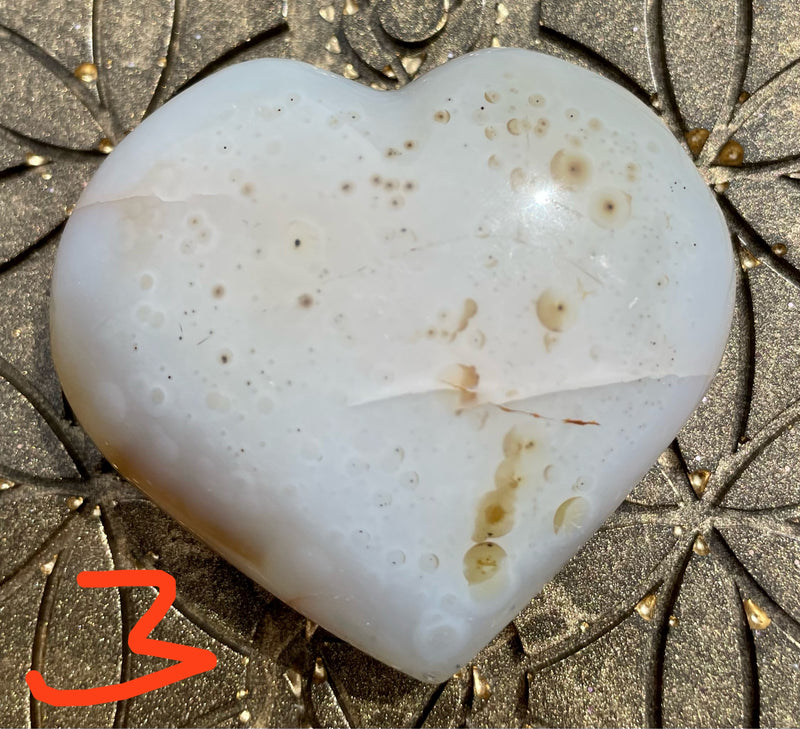 Chalcedon Herzen