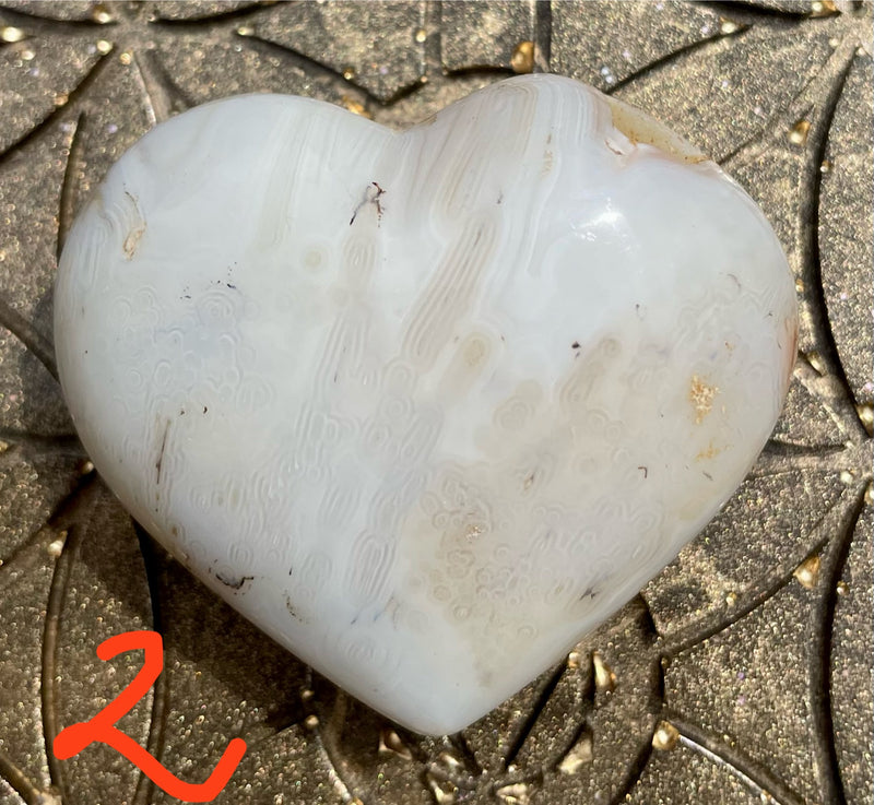 Chalcedon Herzen
