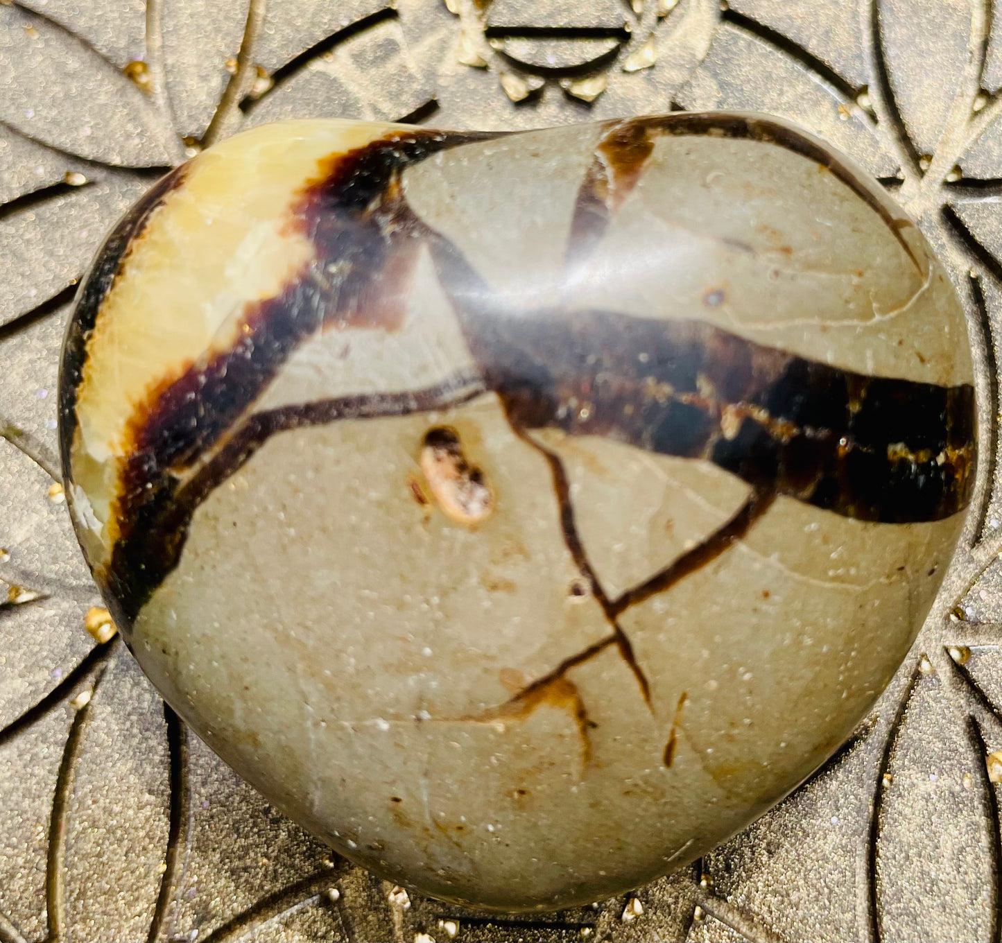 Drachenauge/Septarie Herz