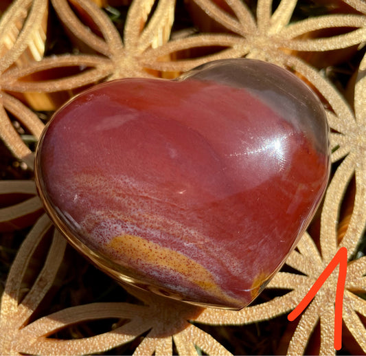 Versteinertes Holz Herzen